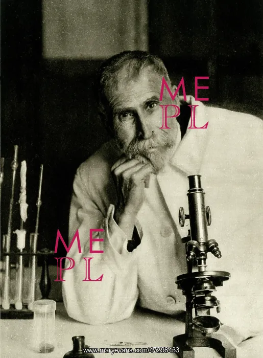 : ROUX, PHOTO : ROUX, PHOTO