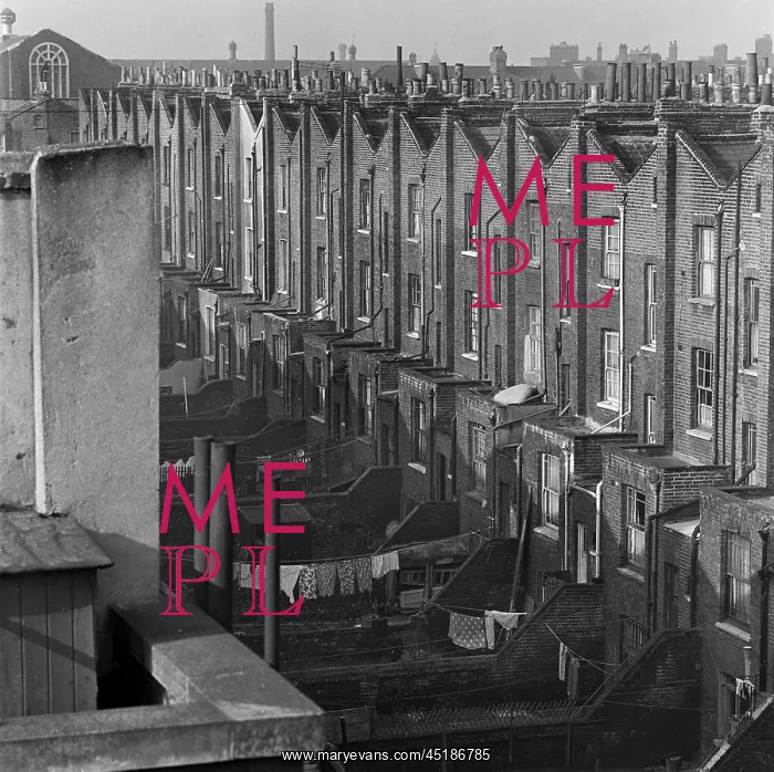 : Row Of Back Gardens : Row Of Back Gardens