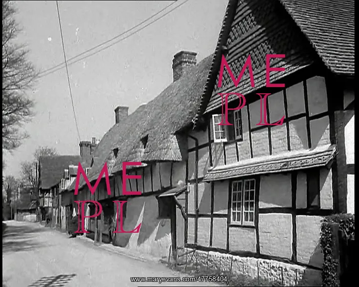 : A Row of Timbered Thatched Cottages in a Village : A Row of Timbered Thatched Cottages in a Village