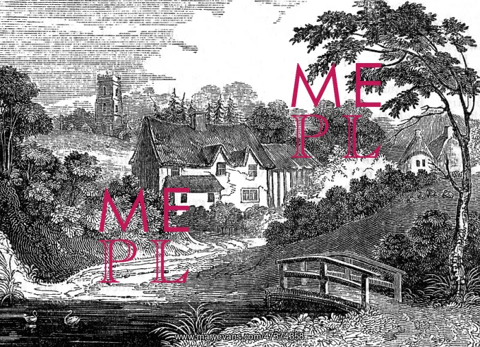 : ROWE'S BIRTHPLACE : ROWE'S BIRTHPLACE