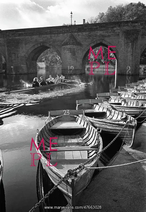 : Rowing past hire boats, Durham : Rowing past hire boats, Durham