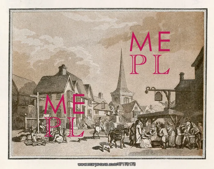  : ROWLANDSON / CUCKFIELD