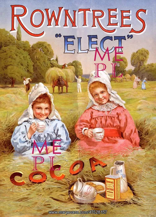 : Rowntree's Elect Cocoa : Rowntree's Elect Cocoa