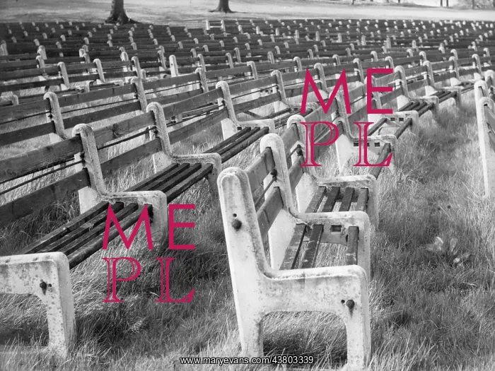 : Rows of benches : Rows of benches