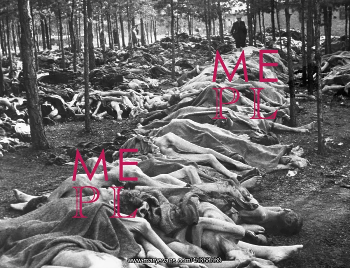 : Rows of bodies at Nazi-German Belsen Concentration : Rows of bodies at Nazi-German Belsen Concentration