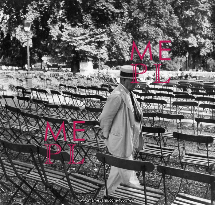 : Rows of empty chairs in Hyde Park, London : Rows of empty chairs in Hyde Park, London