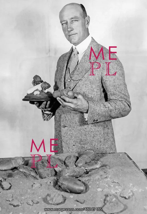 : Roy Chapaman Andrews with dinosaur eggs, 1925 : Roy Chapaman Andrews with dinosaur eggs, 1925