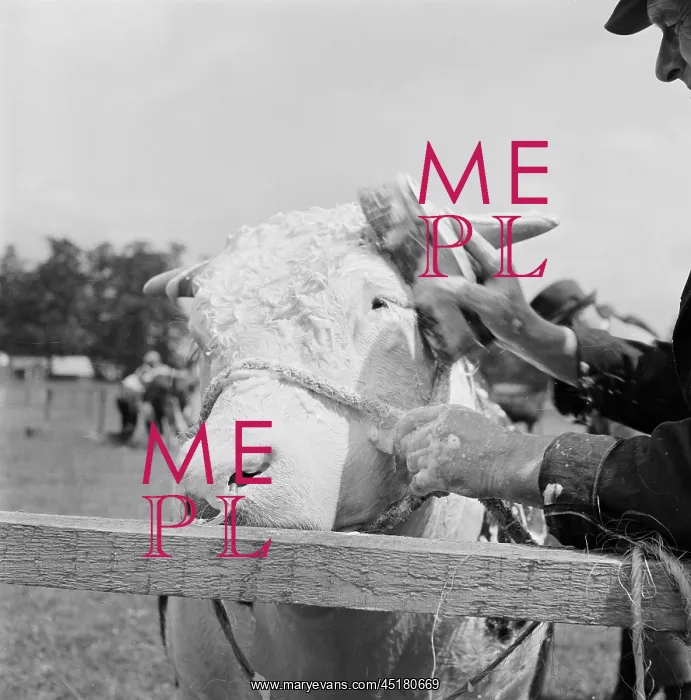 : The Royal Show 1955 : The Royal Show 1955