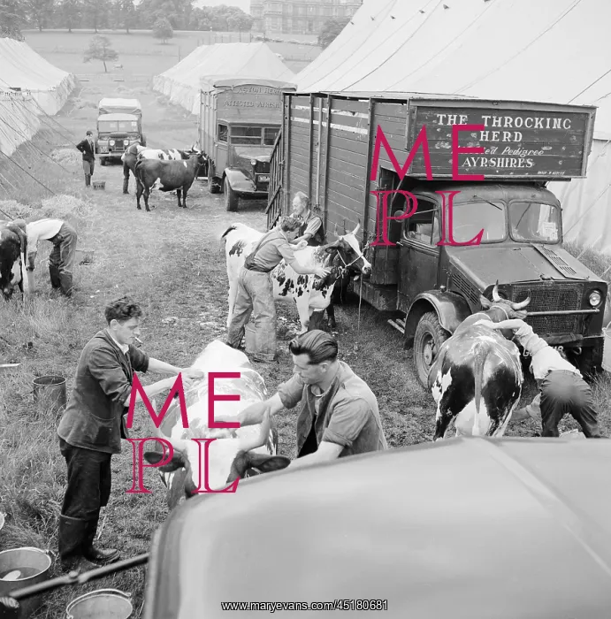: The Royal Show 1955 : The Royal Show 1955