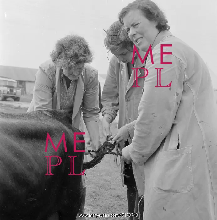 : The Royal Show 1956 : The Royal Show 1956