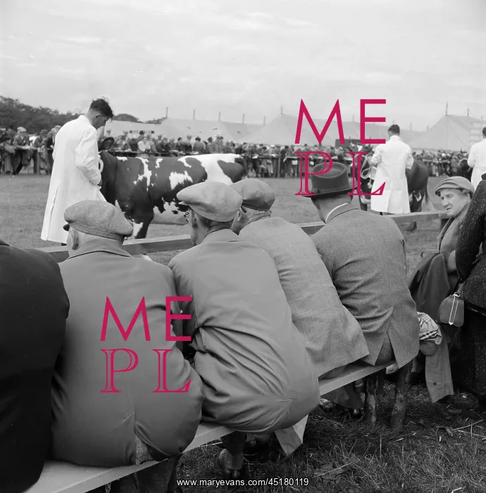 : The Royal Show 1956 : The Royal Show 1956