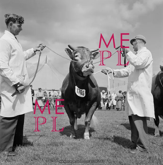 : The Royal Show 1956 : The Royal Show 1956