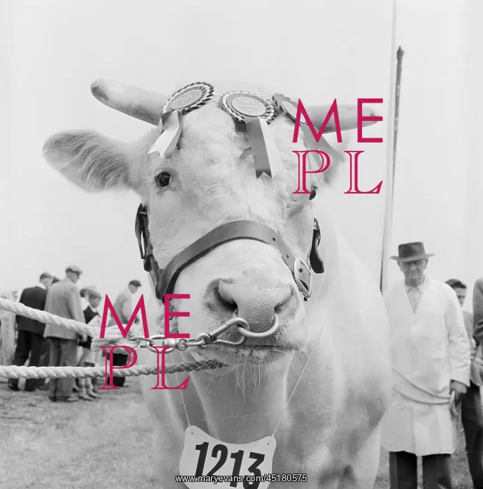 : The Royal Show 1957 : The Royal Show 1957