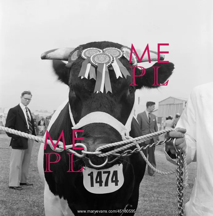 : The Royal Show 1957 : The Royal Show 1957