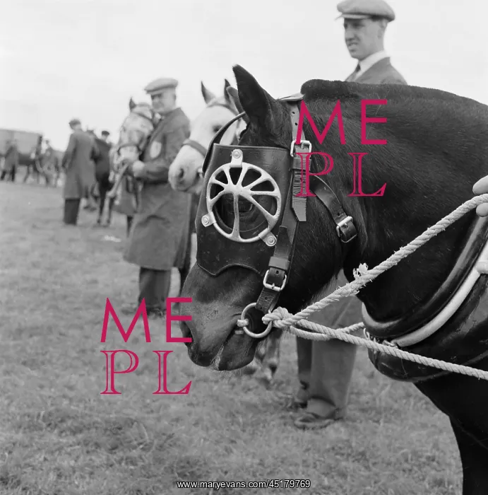 : The Royal Show 1958 : The Royal Show 1958