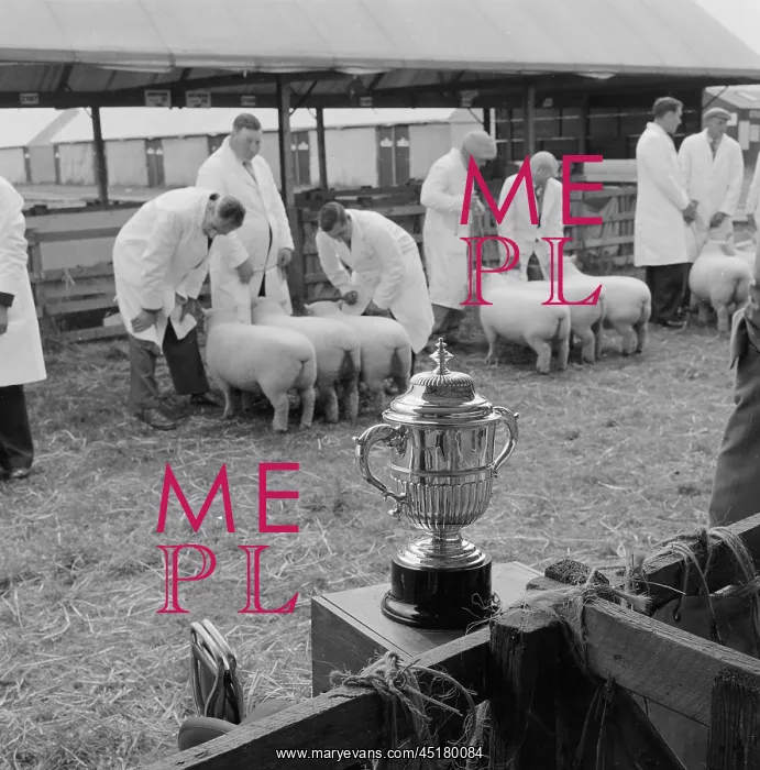 : The Royal Show 1958 : The Royal Show 1958