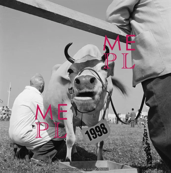 : The Royal Show 1959 : The Royal Show 1959