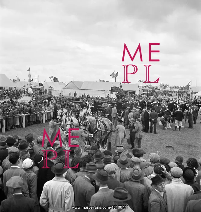 : Royal Agricultural Show : Royal Agricultural Show