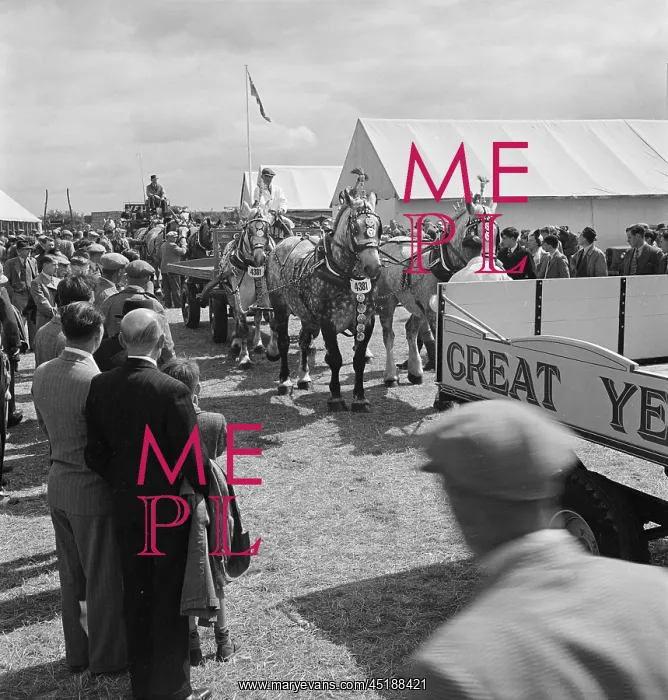 : Royal Agricultural Show : Royal Agricultural Show