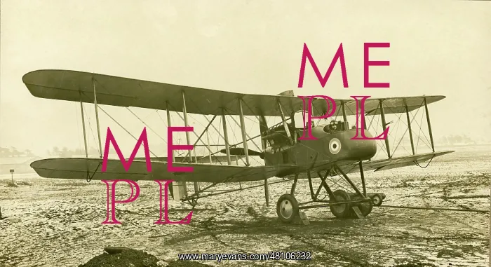 : Royal Aircraft Factory FE2d : Royal Aircraft Factory FE2d