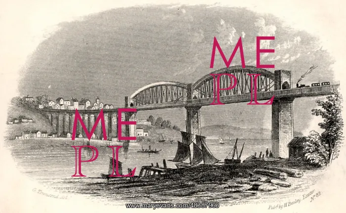: The Royal Albert Bridge (Viaduct) at Saltash : The Royal Albert Bridge (Viaduct) at Saltash