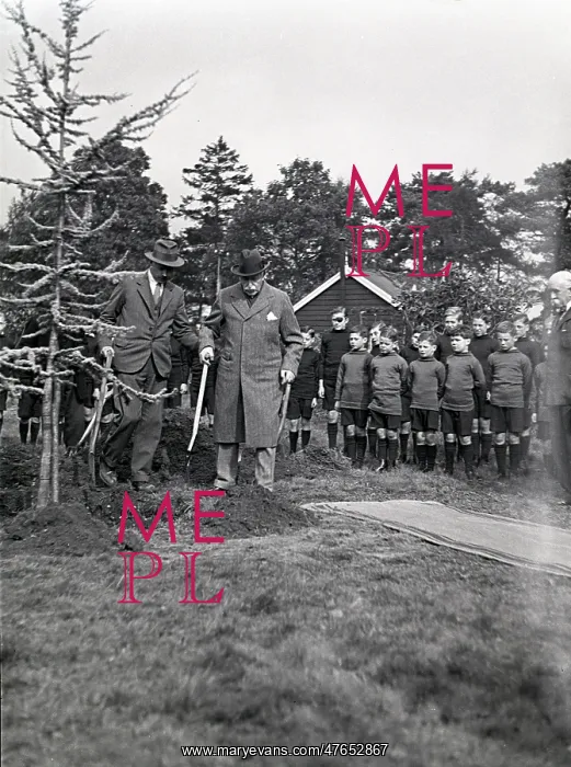 : Royal Albert Orphanage, Bagshot, Surrey - tree planting : Royal Albert Orphanage, Bagshot, Surrey - tree planting