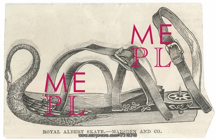  : Royal Albert Skate 1851