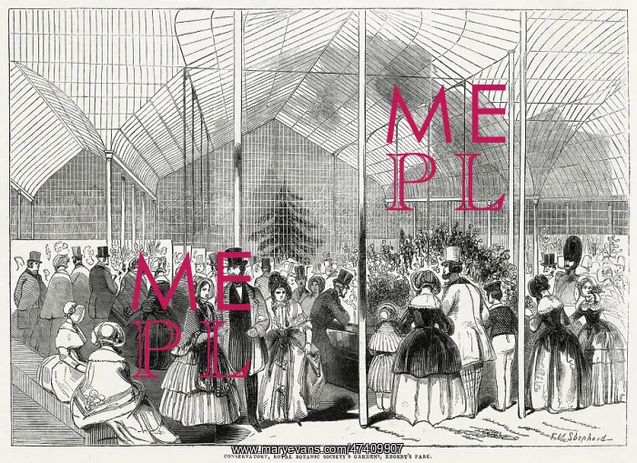 : Royal Botanic Gardens, Conservatory 1846 : Royal Botanic Gardens, Conservatory 1846
