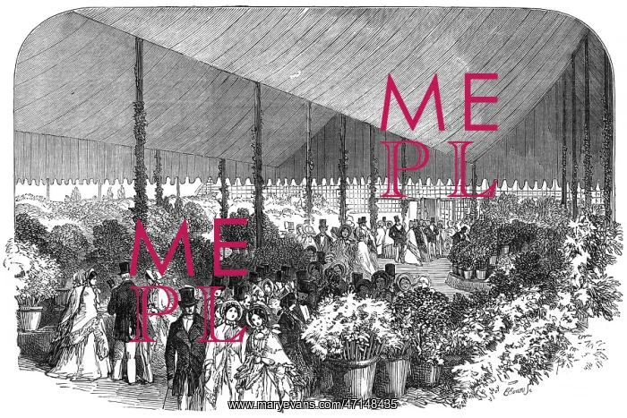 : Royal Botanic Society exhibition, Regents Park, London : Royal Botanic Society exhibition, Regents Park, London