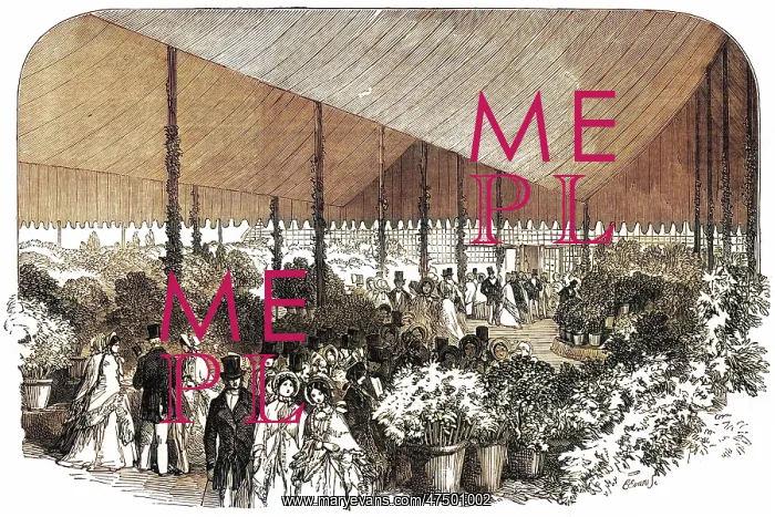 : Royal Botanic Society exhibition, Regents Park, London : Royal Botanic Society exhibition, Regents Park, London