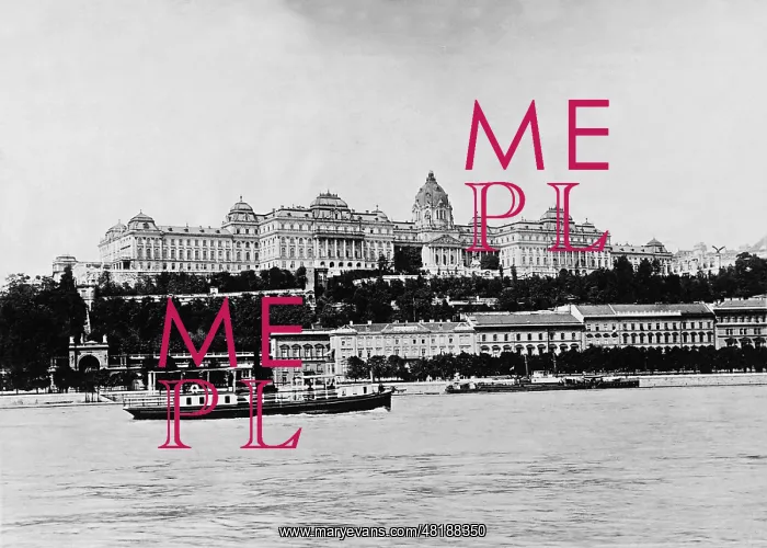 : Royal Castle in Budapest, 1918 : Royal Castle in Budapest, 1918