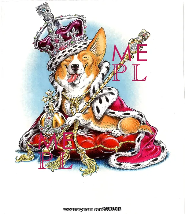  : Royal Corgi
