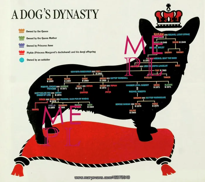 : Royal Corgi family tree : Royal Corgi family tree