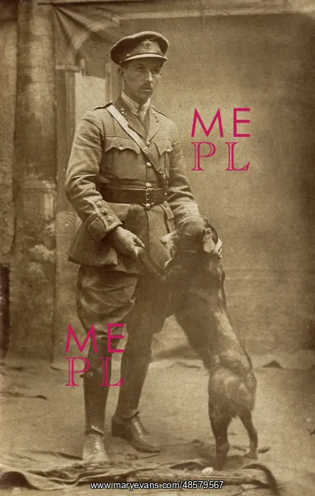 : Royal Engineers officer and dog, WWI : Royal Engineers officer and dog, WWI