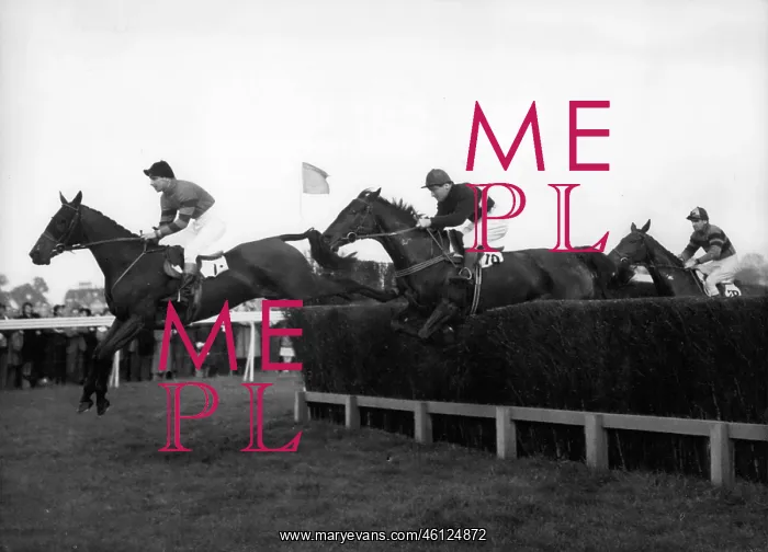 : Royal horseracing at Hurst Park : Royal horseracing at Hurst Park