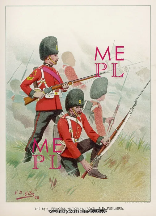  : ROYAL IRISH FUSILIERS