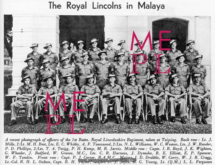 : The Royal Lincolns in Malaya : The Royal Lincolns in Malaya