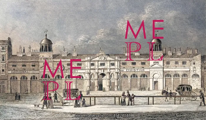 : ROYAL MEWS : ROYAL MEWS