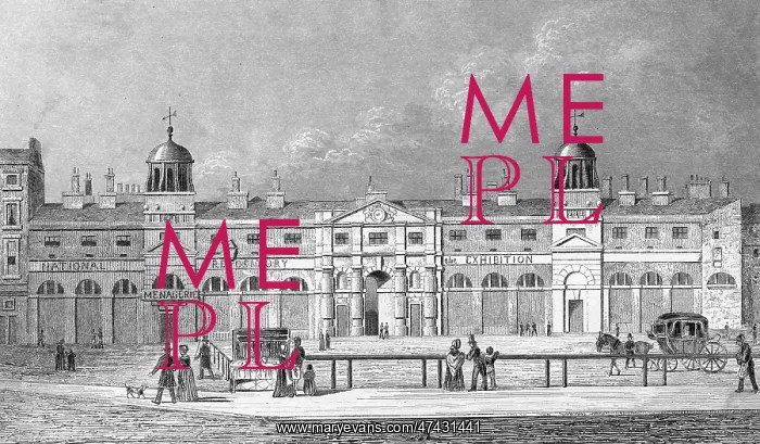 : ROYAL MEWS : ROYAL MEWS