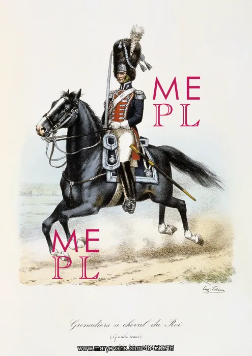 : Royal Mounted Black Grenadier, 1814-1815. From : Royal Mounted Black Grenadier, 1814-1815. From