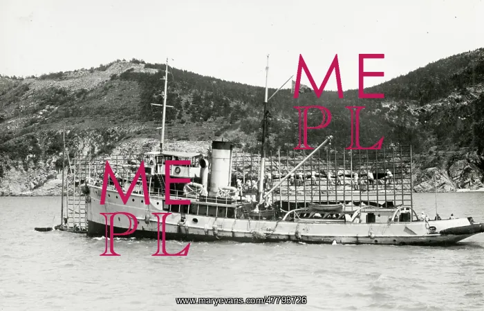 : Royal Navy manouevres, Wehaiwei, Weihai, China, c.1927 : Royal Navy manouevres, Wehaiwei, Weihai, China, c.1927