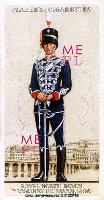 : Royal North Devon Yeomanry (Hussars) : Royal North Devon Yeomanry (Hussars)