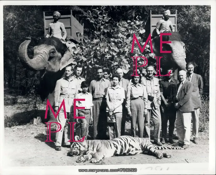 : Royal party in tiger shoot : Royal party in tiger shoot