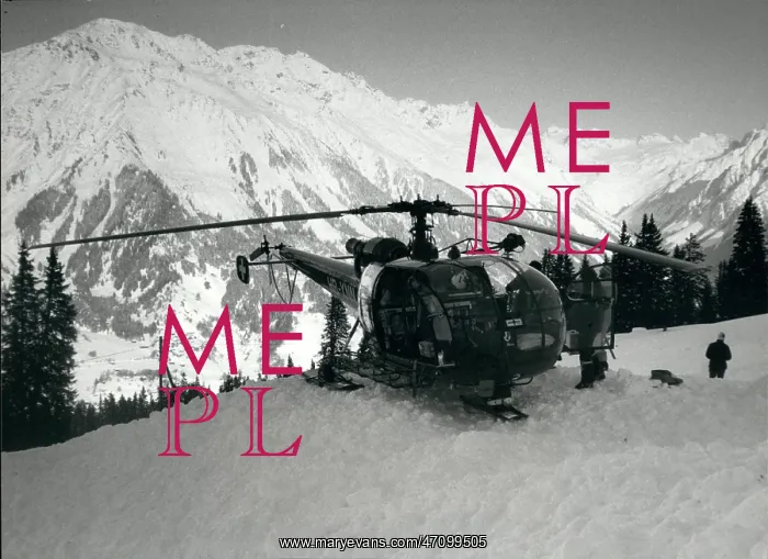 : Royal Ski Tragedy : Royal Ski Tragedy