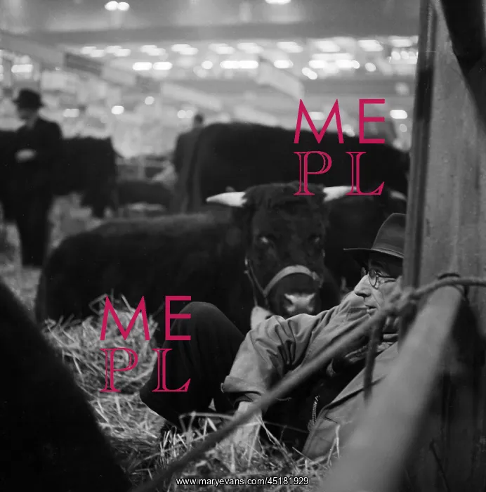 : Royal Smithfield Show 1952 : Royal Smithfield Show 1952
