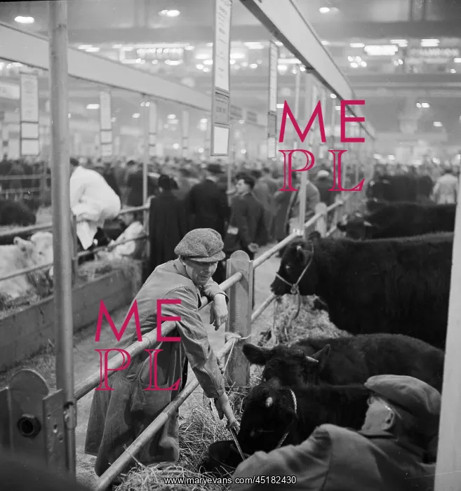 : Royal Smithfield Show 1953 : Royal Smithfield Show 1953