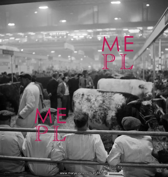 : Royal Smithfield Show 1953 : Royal Smithfield Show 1953