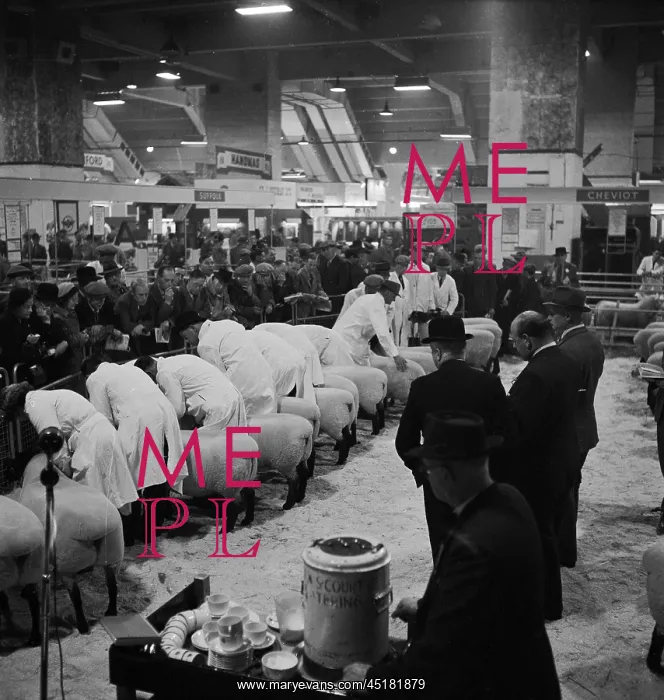 : Royal Smithfield Show 1954 : Royal Smithfield Show 1954