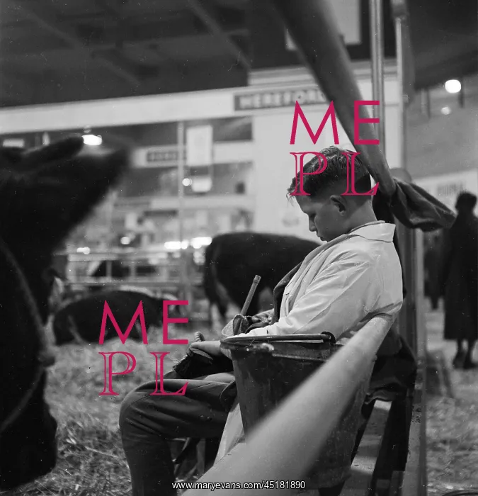 : Royal Smithfield Show 1954 : Royal Smithfield Show 1954