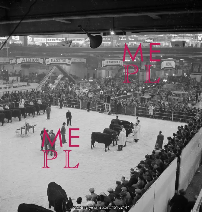 : Royal Smithfield Show 1954 : Royal Smithfield Show 1954